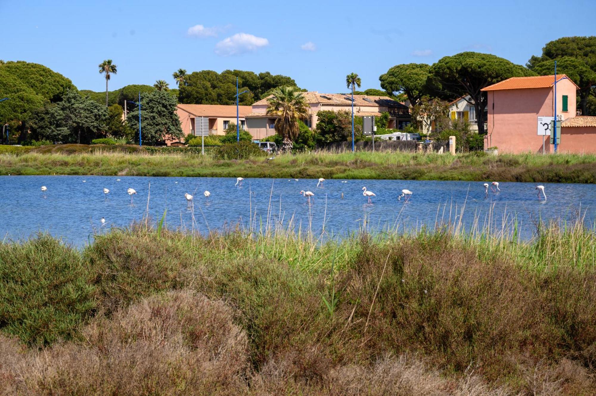 Le studio de giens Hyères Esterno foto