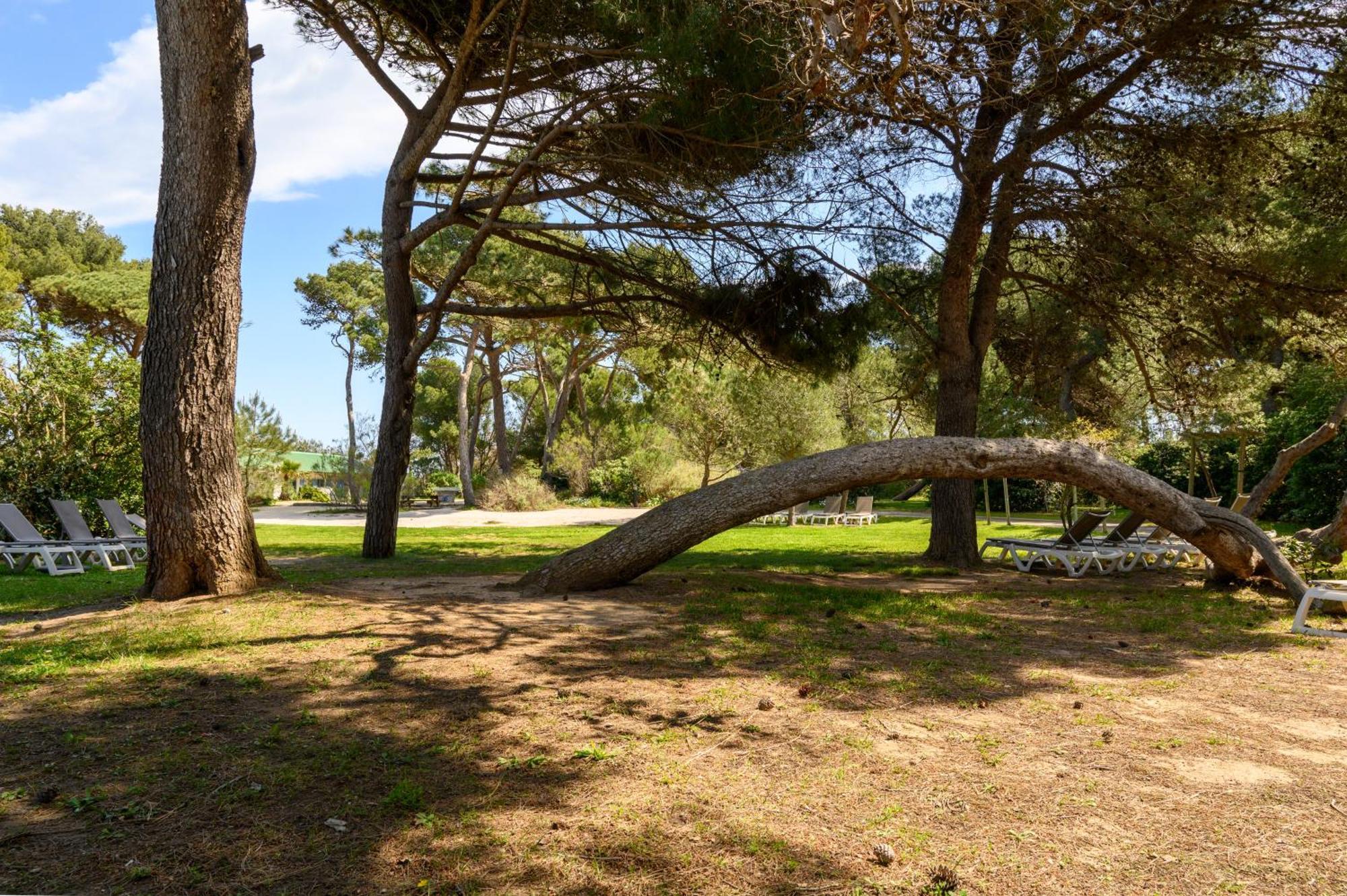 Le studio de giens Hyères Esterno foto